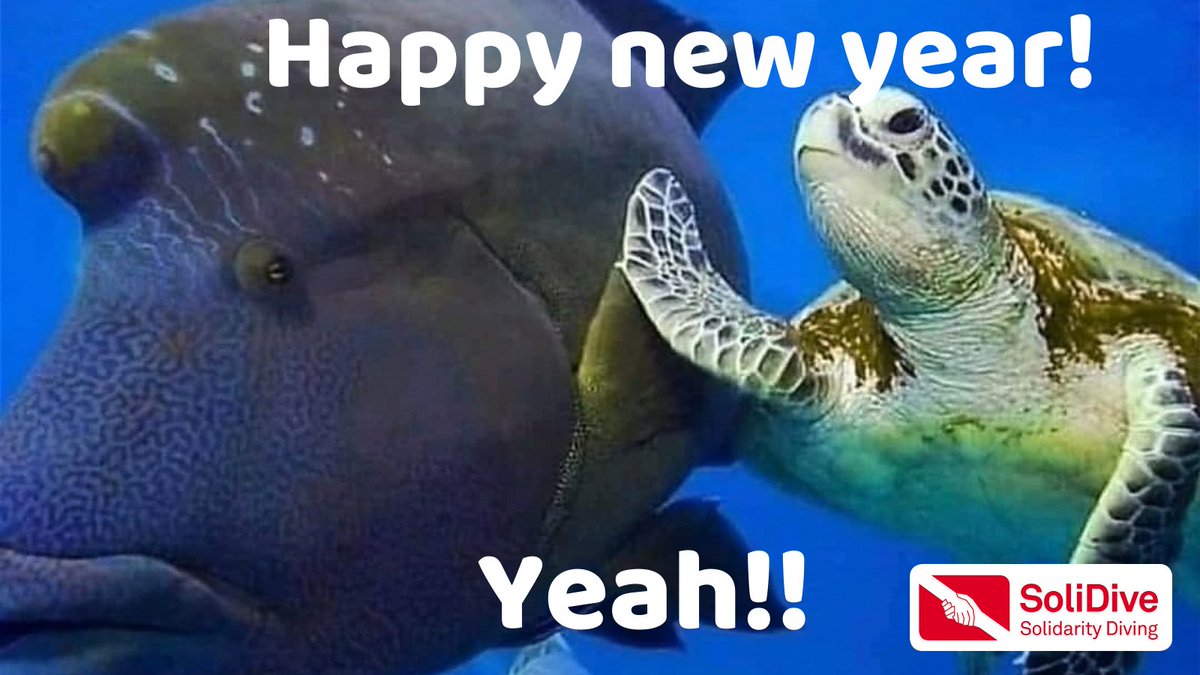 #Feliz2022
#Happy2022