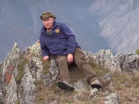 View image on Twitter