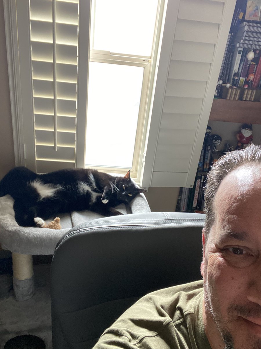 bucfoo's tweet photo. I think Shadow is done with the year also. Lol #infosec #CatsOnTwitter https://t.co/Q2N7BaJGDZ