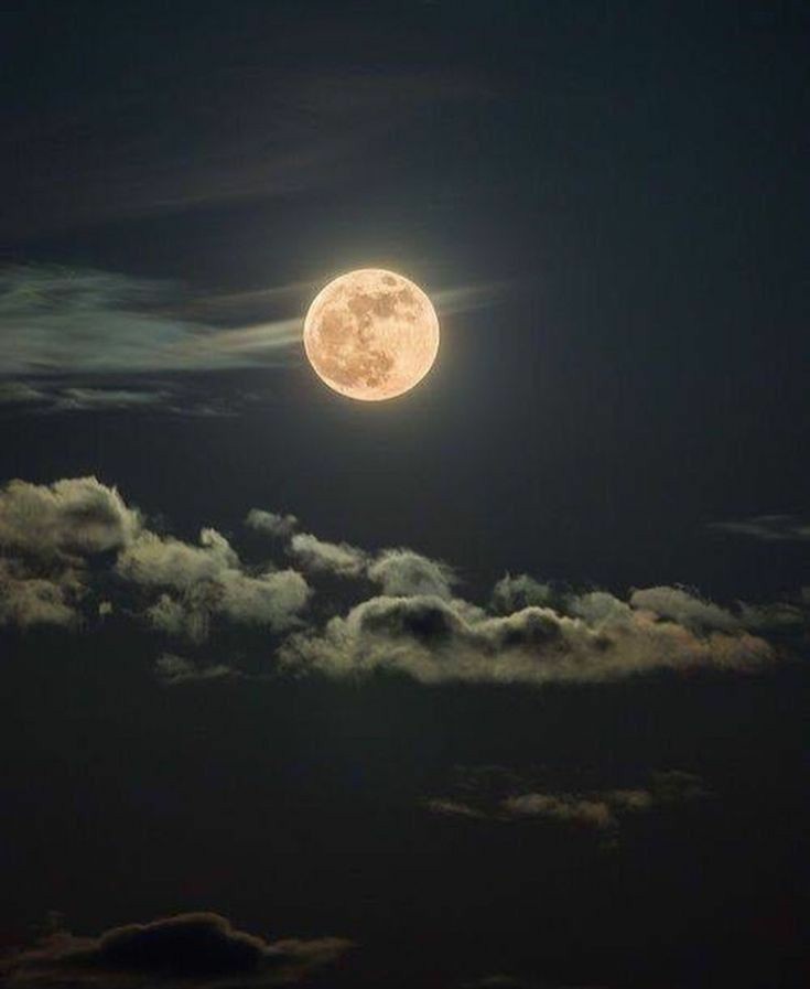 ikigaitaro's tweet photo. 🌜lua e outros astros para 2022; Como se planejar ⬇️ https://t.co/NS229B5y4W