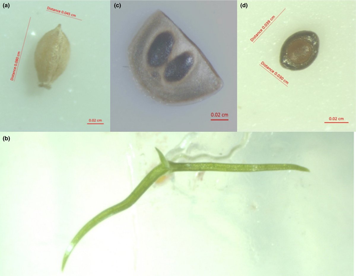 Andy J. Green tweet media