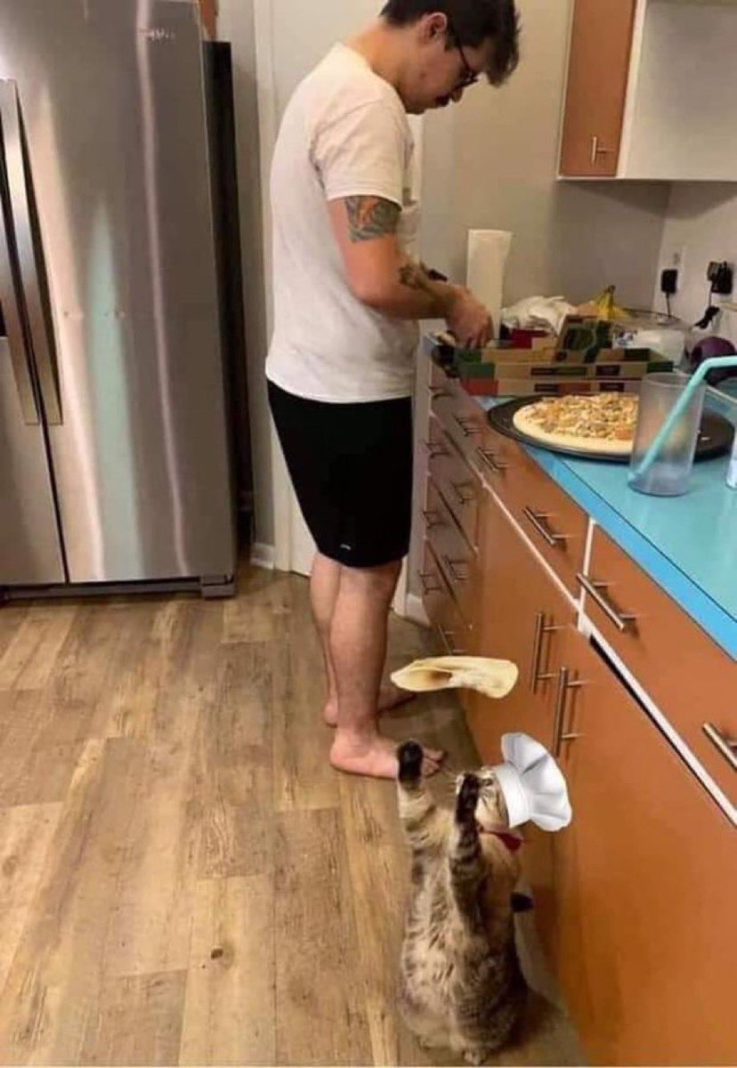 PowerfulAuraX's tweet photo. https://t.co/OQsEfUjCNx