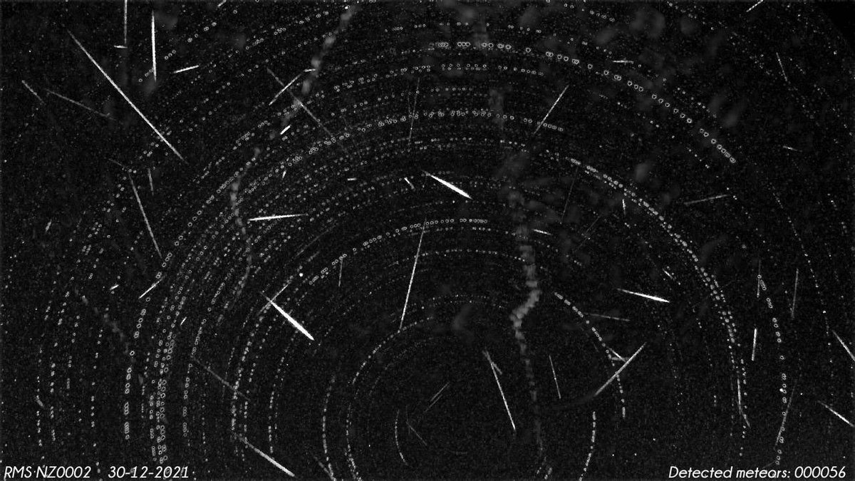 TasmanSkies's tweet photo. 56 meteors on the #NZ0002 #GNN #meteorcam in #Motueka last night https://t.co/nPit3fTO31