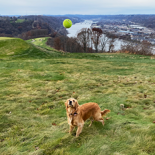 Focused on 2022 goals like ✨⚾✨ #rapidtpc #ballislife #dogsofinstagram #2022 #goals