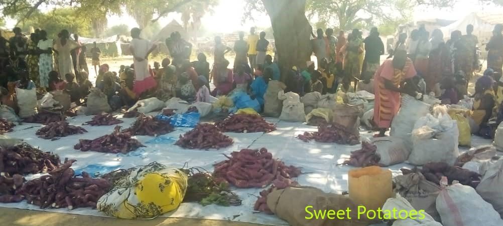 JalalWFP's tweet photo. To adapt to #climatechange, WFP &amp; partners are introducing climate-resilient crops in #SouthSudan.

This year, under FFA program in #Warrap, rice was planted in flood-prone swampy areas and sweet potatoes in drought-prone areas with positive results. 

Further expansion in 2022. https://t.co/vnjAFWAYRL