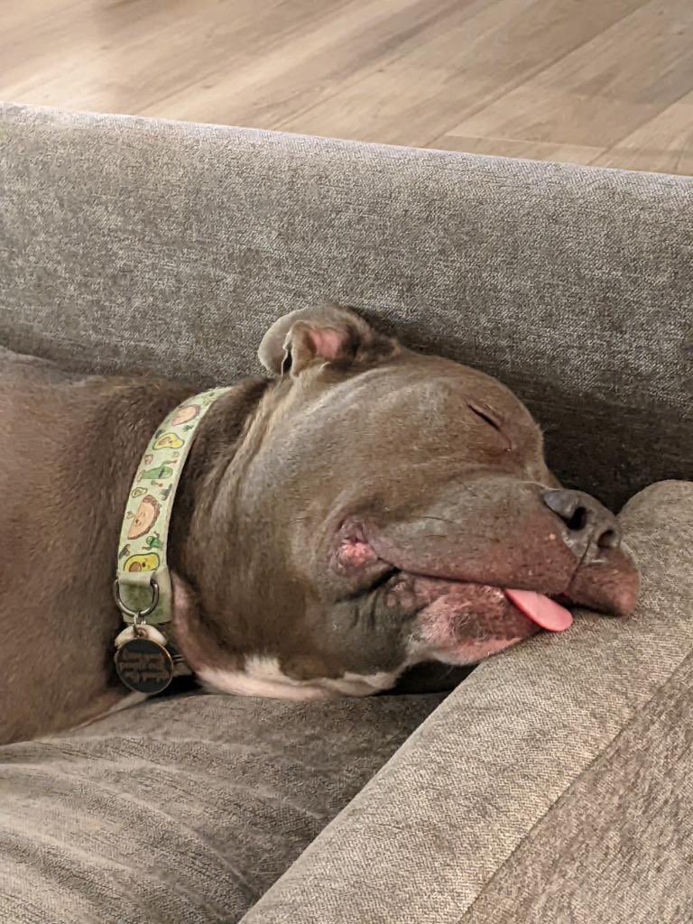 staaaaace_'s tweet photo. 😂🤍🦭 https://t.co/5JEFsbxSZO