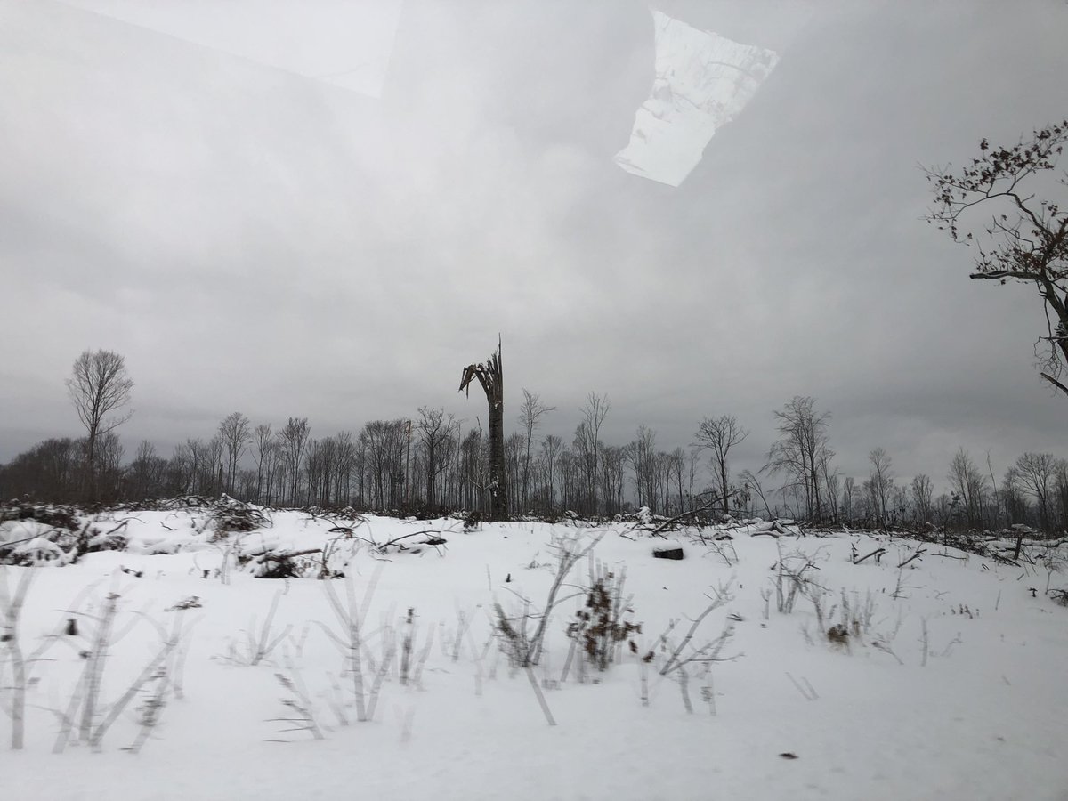 Derecho damage 2 years later. This whole field used to be a forest. https://t.co/7bpFs7DoGB