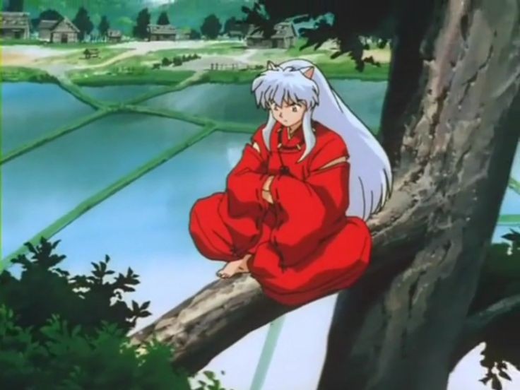 *sits in his tree*