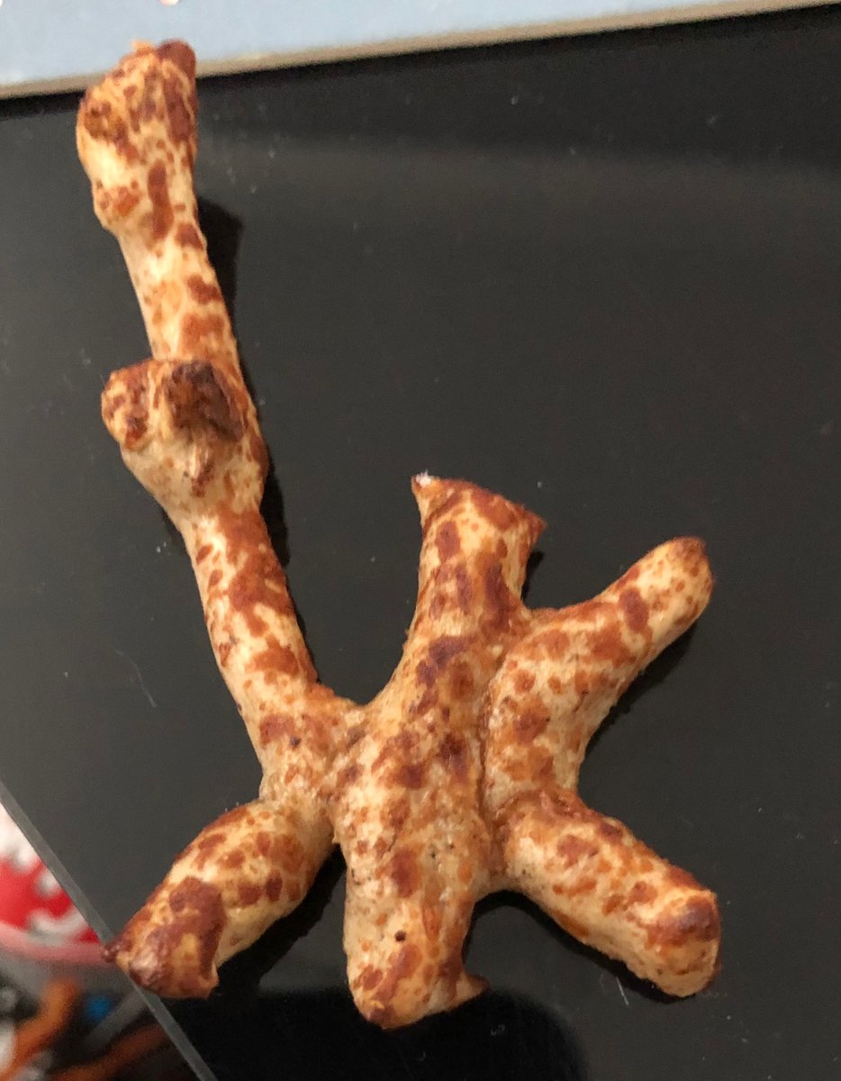 traceyscanlon1's tweet photo. @twigletsuk  not sure wether to eat it or hang it on my tree https://t.co/p2fOYyh8O6