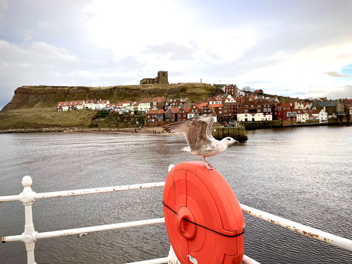 David Knowles Photography tweet media