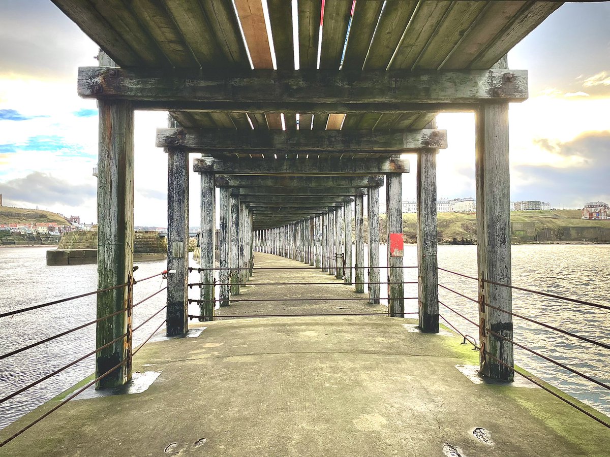 David Knowles Photography tweet media