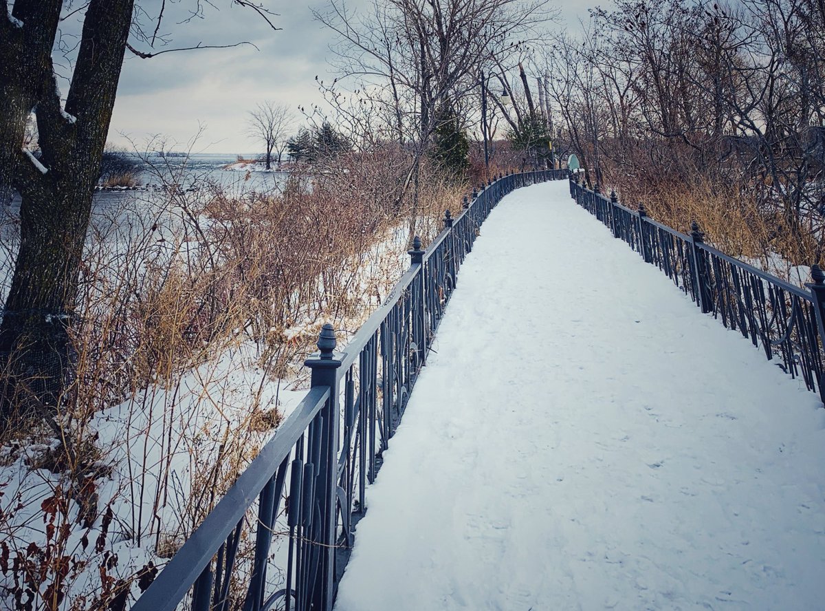 MariaGrazia_mtl's tweet photo. @SandyRShearer @JackieH58139142 @mbloveroadtrips @MaryJo44966098 @lorriefencil @BecciMethvin @ewhitcher @rmn827 @annod121 @RyanPaevey @Heevenlee @Brownweyedgirl1 @pameladdooley @niterydr01 @CathyWanza @debg7089 @dWDebbieWolf @Mamaw1521 @coles83 @patsyillinois Just went for a brisk wander by the bird sanctuary #noonearound #nobirds https://t.co/KW94b6cVpu