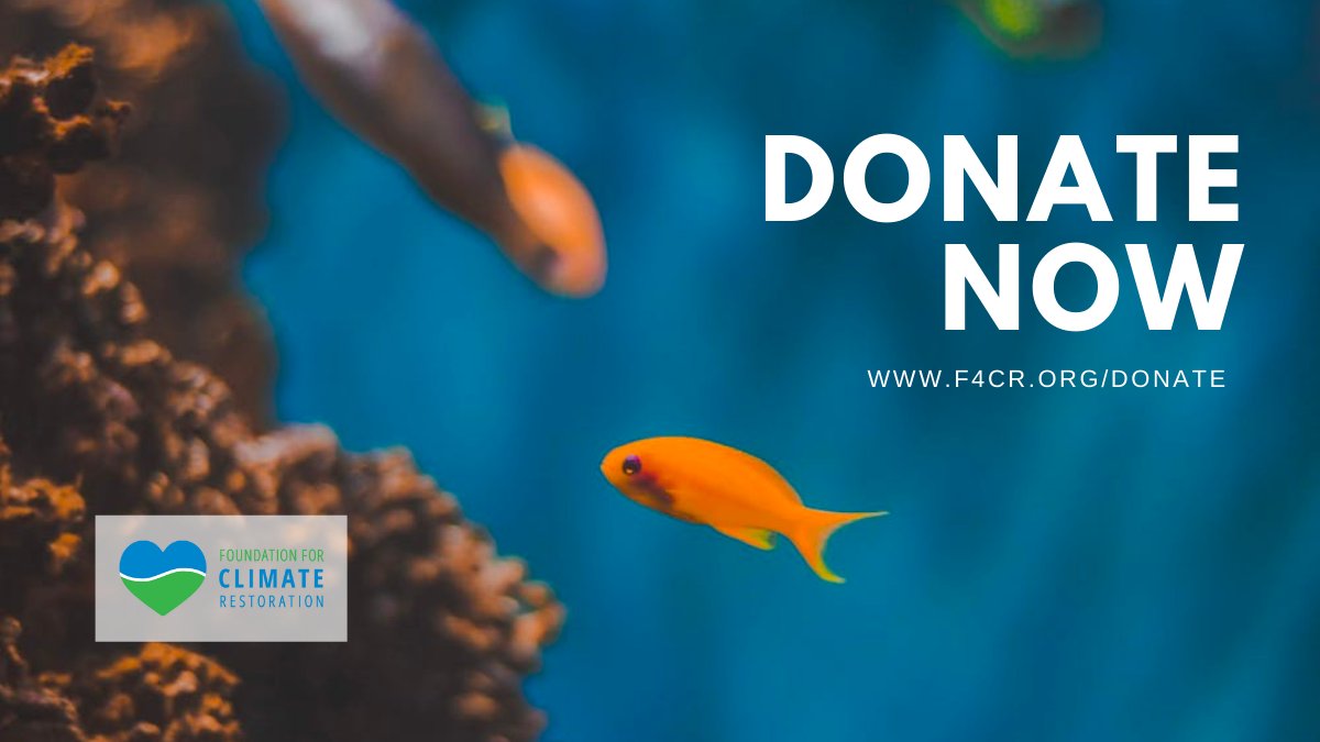 Foundation for Climate Restoration (@f4cr2050) on Twitter photo Just like small actions can add up to big changes, every dollar raised to support #ClimateRestoration can have a meaningful impact on future generations. All donations to F4CR until Dec. 31 at 11:59 p.m. will be matched by a generous donor, up to $65K! loom.ly/m1SwWs4 Just like small actions can add up to big changes, every dollar raised to support #ClimateRestoration can have a meaningful impact on future generations. All donations to F4CR until Dec. 31 at 11:59 p.m. will be matched by a generous donor, up to $65K! loom.ly/m1SwWs4