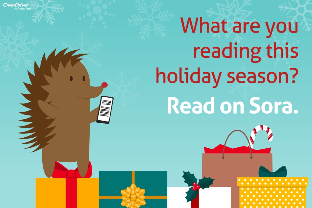 What are you reading this winter break?