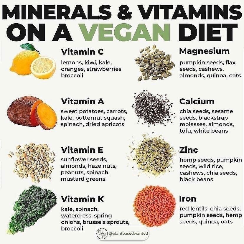 LCRHealth's tweet photo. Are you going vegan or do you simply want more fruits and veggies in your diet? 🥗 Here are some great tips on how to get your necessary nutrients from plant-based foods. Let us know your favorite vegan snacks in the comments ⬇

📸: @vegantopics

#LCRHealth #Vegan https://t.co/tkNCQ7uyvR