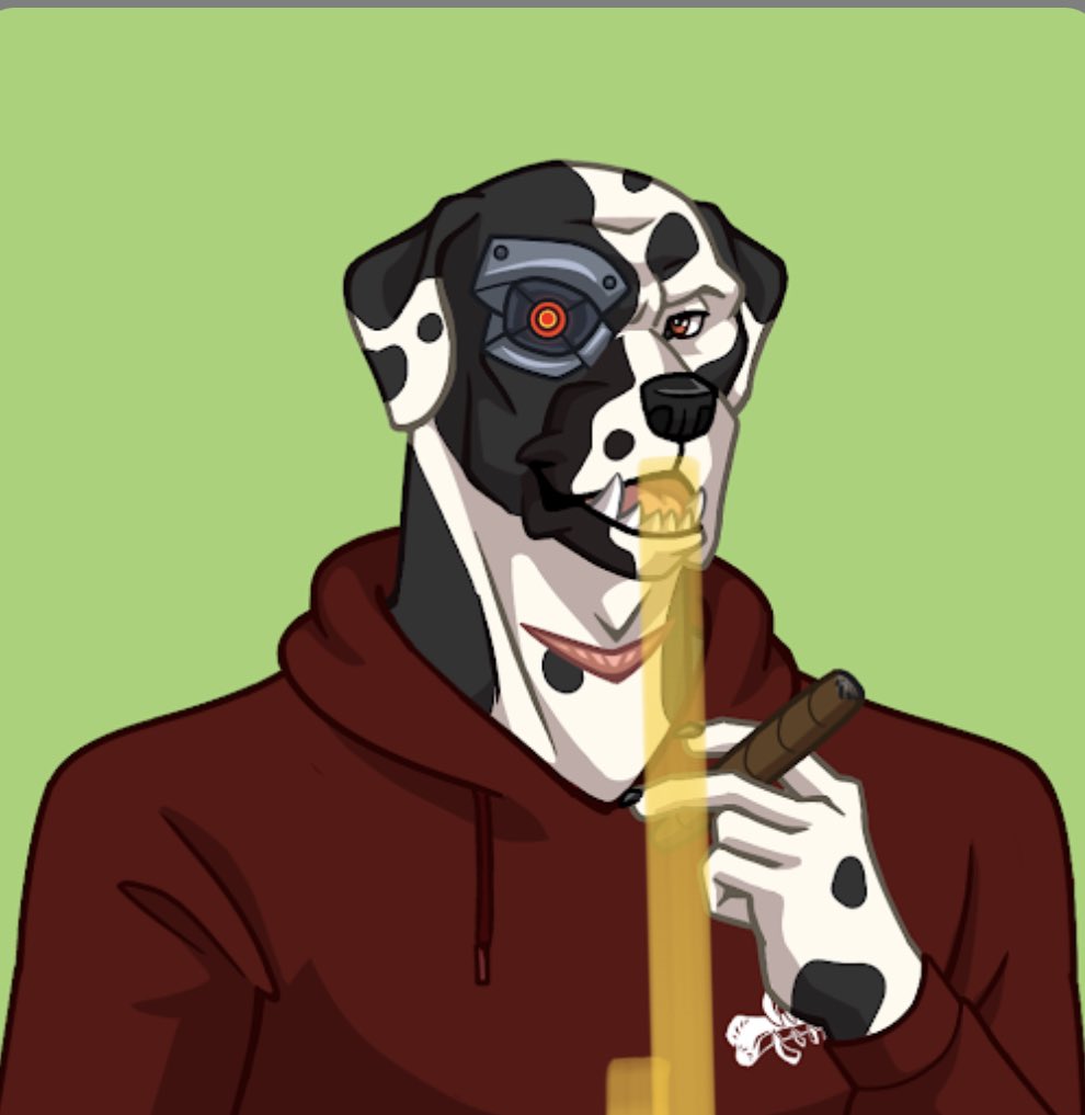 TheRealCormchi's tweet photo. @CanineCartelNFT As a Dalmatian owner, I think it’s time to introduce the breed to the @CanineCartelNFT! Until then anything spotted will do; like this guy #AWOO 🦴 https://t.co/94JfLidvqI