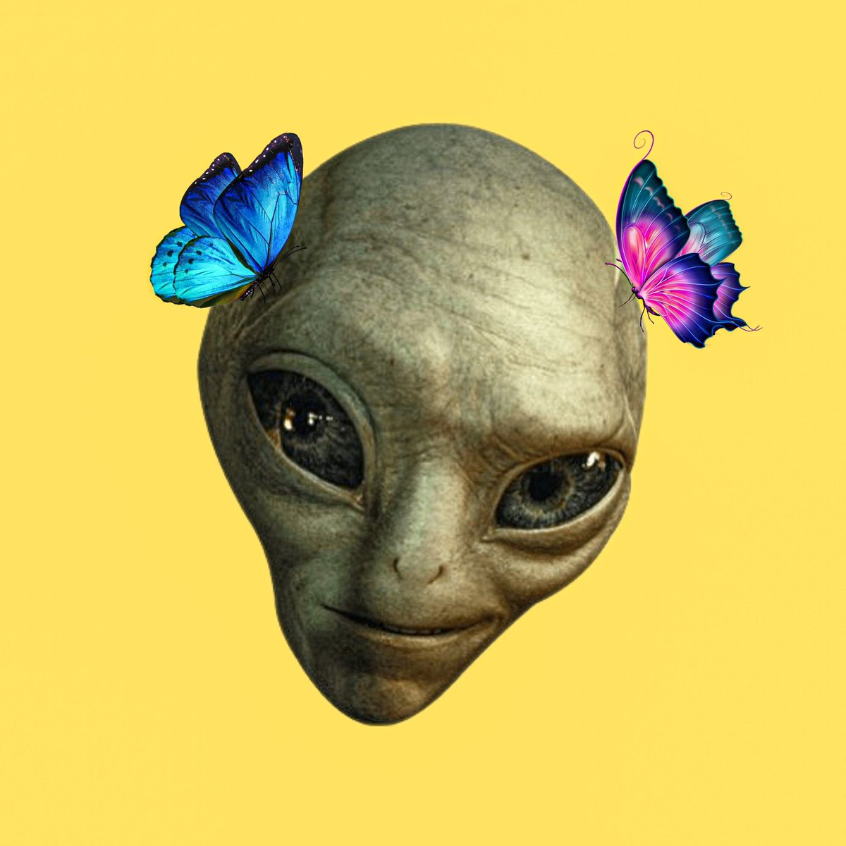 Check out my NFT listing on OpenSea! opensea.io/assets/matic/0… via <a href="/opensea/">OpenSea</a> #NFTs #nftart #nftcollector