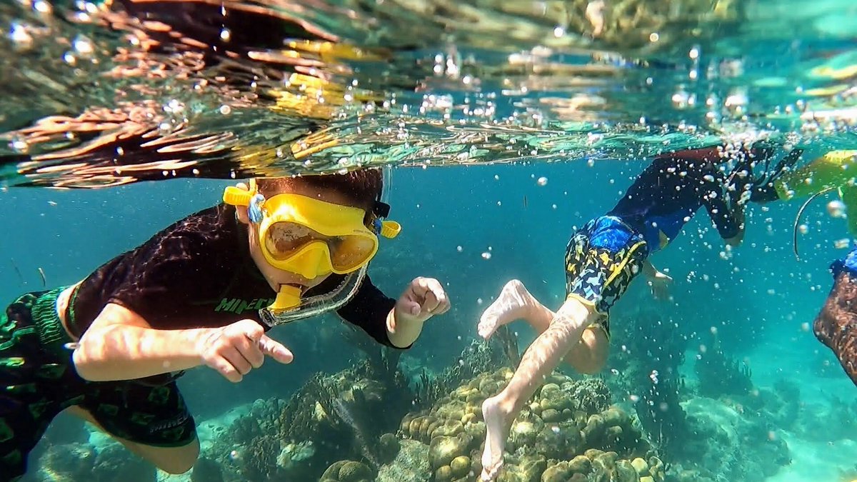 HamanasiResort's tweet photo. "We had such an amazing time at Hamanasi - especially because of the amazing staff there. Everybody was wonderful. We hope to visit again some day."
-Hamanasi guest, Chelsea McCartle
πΈ Chelsea McCartle
#UnBelizable
#Snorkeling
#Familyvacation
#Belizeit https://t.co/ImjejGt6F7