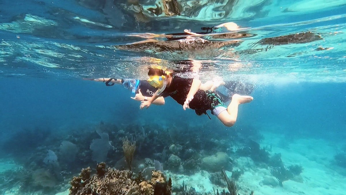 HamanasiResort's tweet photo. "We had such an amazing time at Hamanasi - especially because of the amazing staff there. Everybody was wonderful. We hope to visit again some day."
-Hamanasi guest, Chelsea McCartle
πΈ Chelsea McCartle
#UnBelizable
#Snorkeling
#Familyvacation
#Belizeit https://t.co/ImjejGt6F7