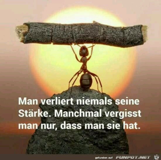 Mike Esser 😁 (@essermikeme) on Twitter photo 