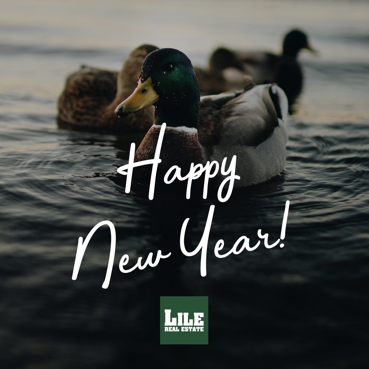 lilerealestate's tweet photo. As we say goodbye to 2021, we want to thank all of our clients and friends for supporting us so that we can continue to do what we love. May the new year bring you happiness, health, and prosperity! Happy New Year!
#LREland #happynewyear #newyear #propserity #health #outdoors https://t.co/X6CbubijPm