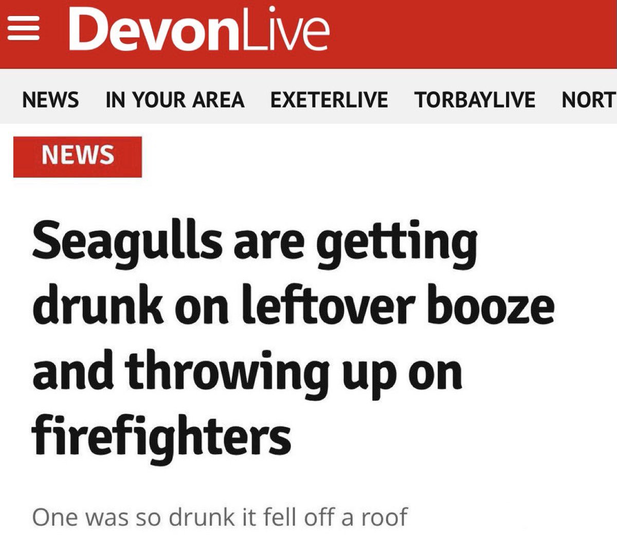 BexSaunders7's tweet photo. Meanwhile in Devonβ¦.
#laughedwaytoohard π https://t.co/MeYLRHpRcg