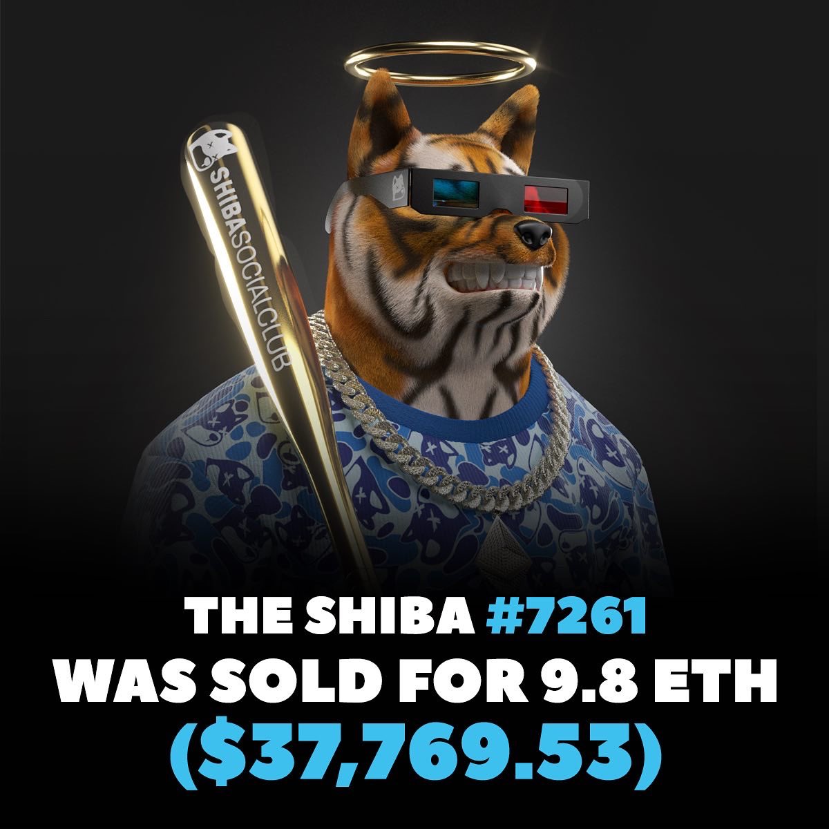 Shiba Social Club tweet media