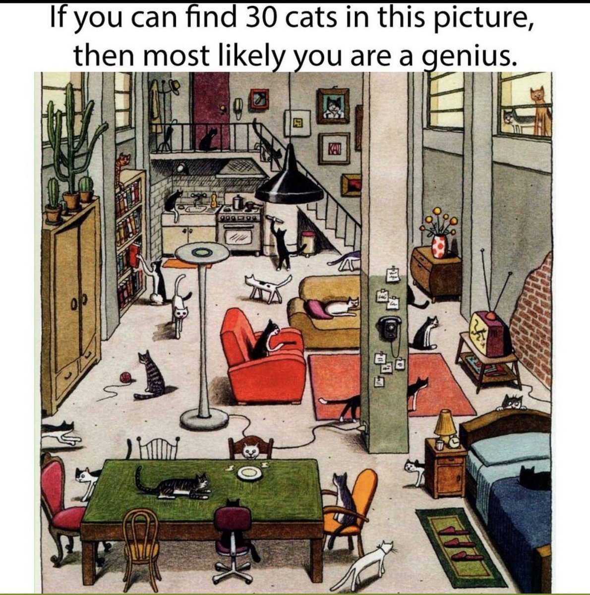 Сколько кошек на картинке