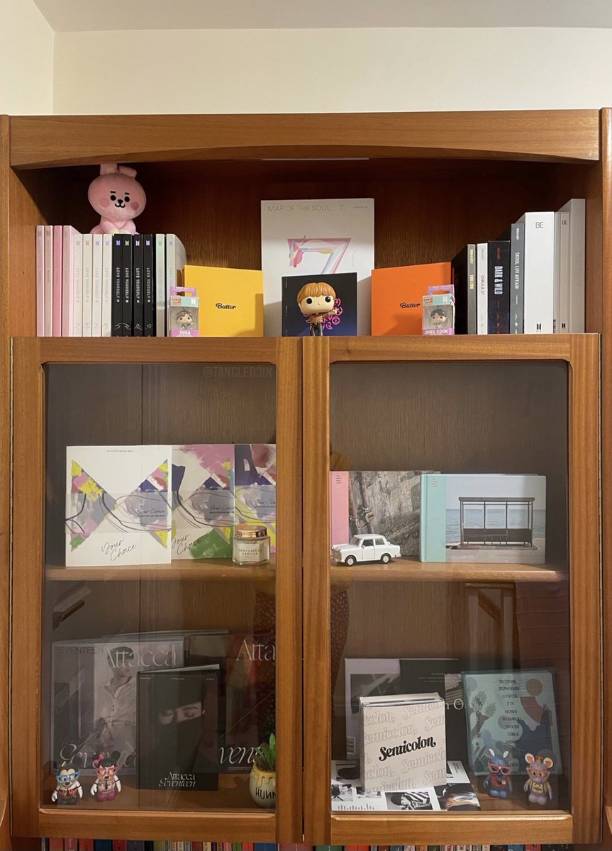 tangledjin's tweet photo. Shelf update, Cooky has arrived 💖 https://t.co/6qCb02ieU2