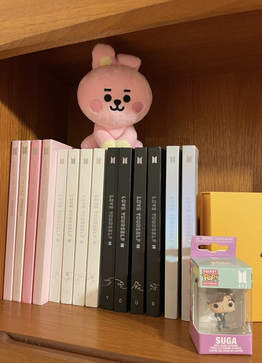 tangledjin's tweet photo. Shelf update, Cooky has arrived 💖 https://t.co/6qCb02ieU2