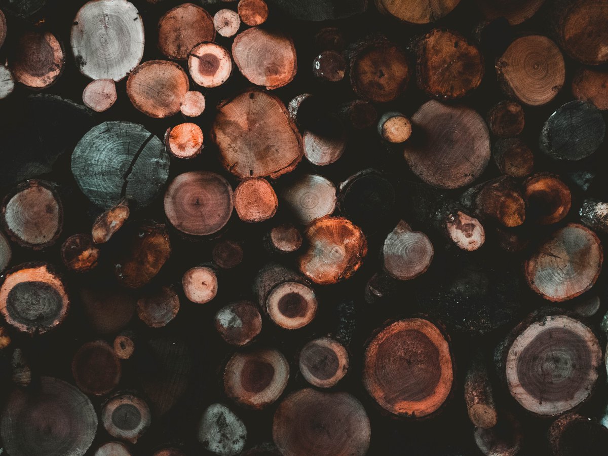 Stimson Lumber Co. has struck a deal for a conservation easement on 27,289 acres of timberland it owns southeast of Libby, Mt.

Full Article:
bit.ly/3G95fpD