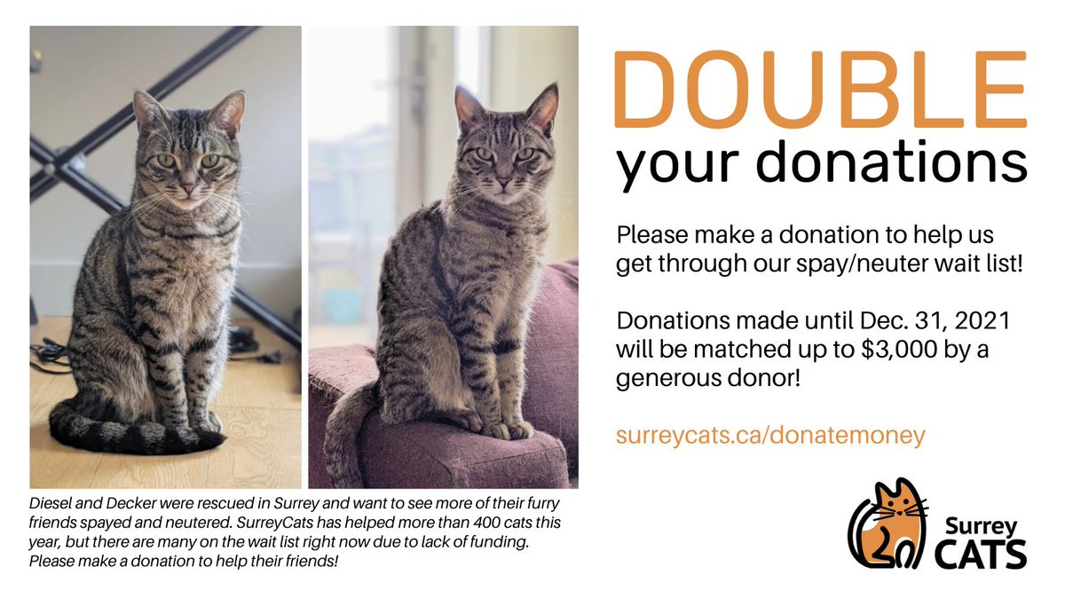 There's still time to help Diesel &amp; Decker's furry friends! Donations made until Dec 31 will be matched up to $3,000! Donate at: surreycats.ca/donatemoney

Thank you to everyone in our community! We wish you all the best for 2022!

#surreycatsbc #surreybc #cats #kittens #thankyou