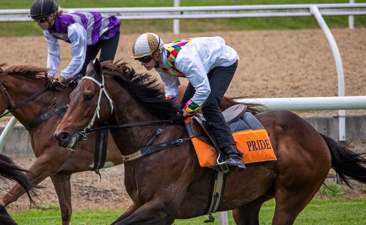 Rheinwood's tweet photo. So thrilled to see our boy #Fragore enjoying himself back at the trials yesterday! Trialled impressively @PrideRacing 👏🏻👏🏻 @Reganbayliss ~ 📸: @ashbrennanphoto https://t.co/QznOSwNEt4