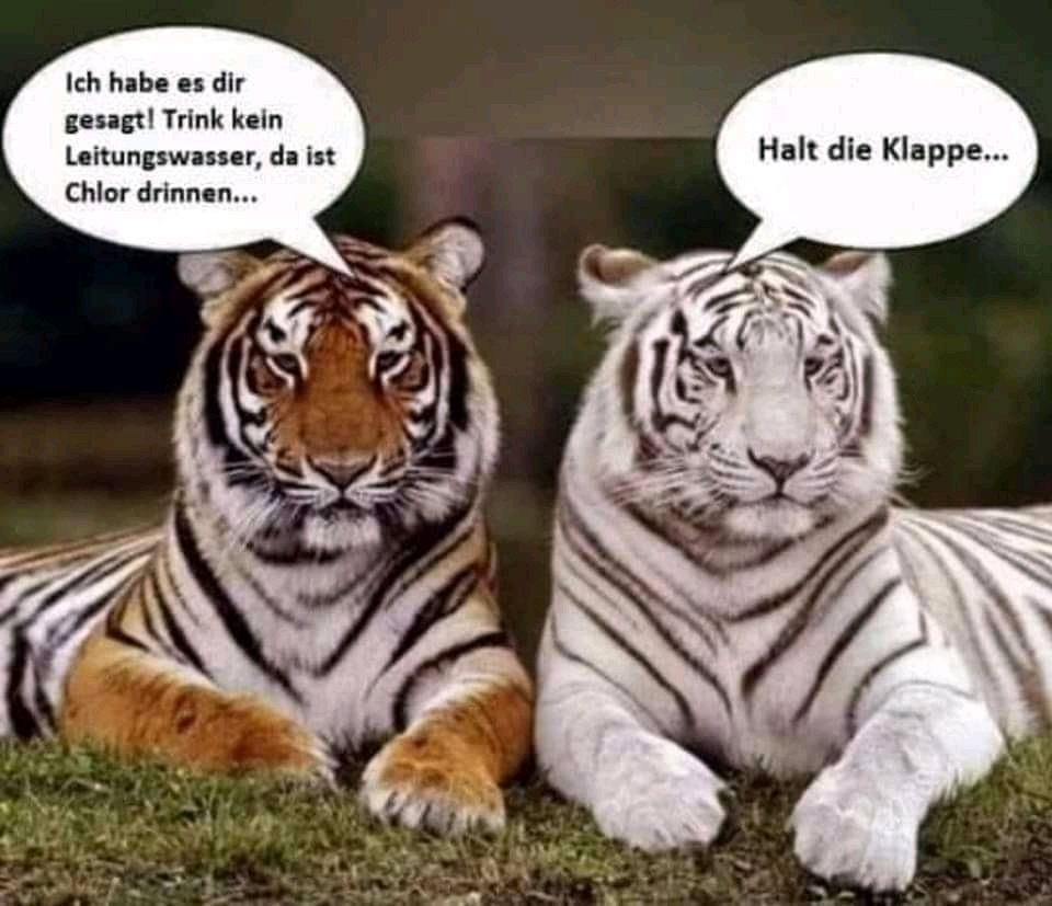 Markus Ridderbusch🌈🏳️‍🌈😃☘❤☮🇪🇺 (@markusridderbu7) on Twitter photo 