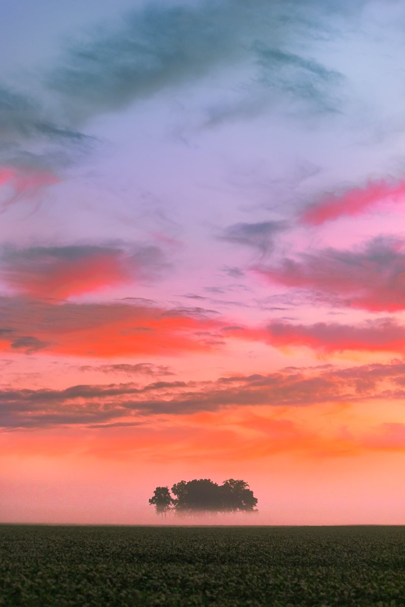 xmasteve's tweet photo. best sunrises of 2021 https://t.co/VQWEUSIQiE