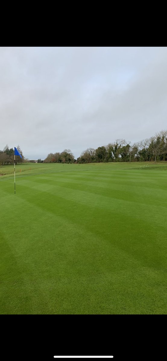 Shockwave and pencil tine before Christmas followed by IPM and a fungicide to see us through Xmas . Cut this morning after 6 days rest . Had to empty boxes 3 times . Never seen growth like it this time of year 🤷🏼‍♂️