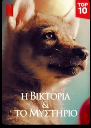 George82S's tweet photo. @WolfTheHusky4 Το Netflix έχει μια συγκινητική ταινία με ποιο κοντινό σου συγγενή αν θες να δεις https://t.co/SESU1NjDZO