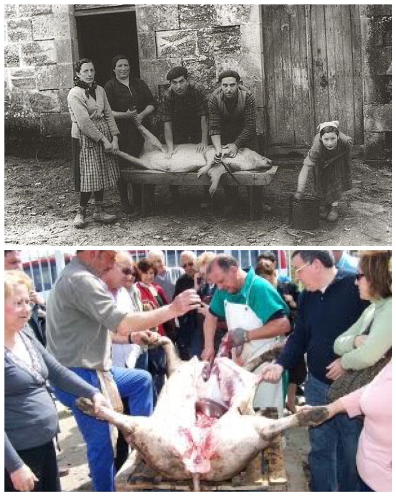 🐷 Las Navidades son también… ¡TIEMPO DE MATANZA!

🐖 Tenemos a vuestra disposición una gran variedad de útiles de matanza para que le des a tu chacina la mejor elaboración posible:
🐽 Bolsas de vacío 
🐽 Hilo de atar
🐽 Sopletes
🐽 Capazos y cubetas