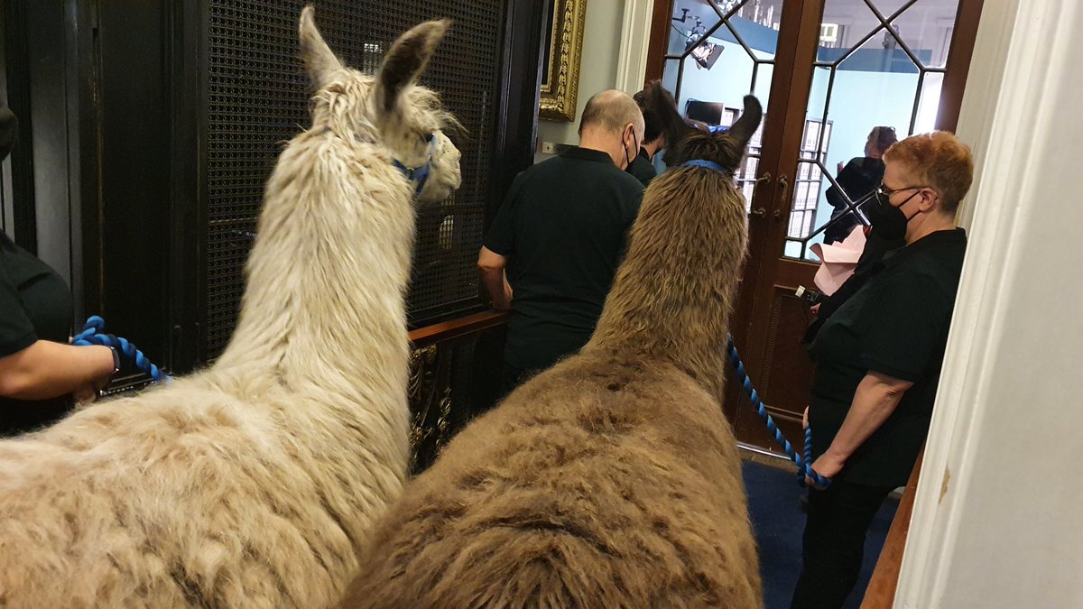 dan.science tweet media