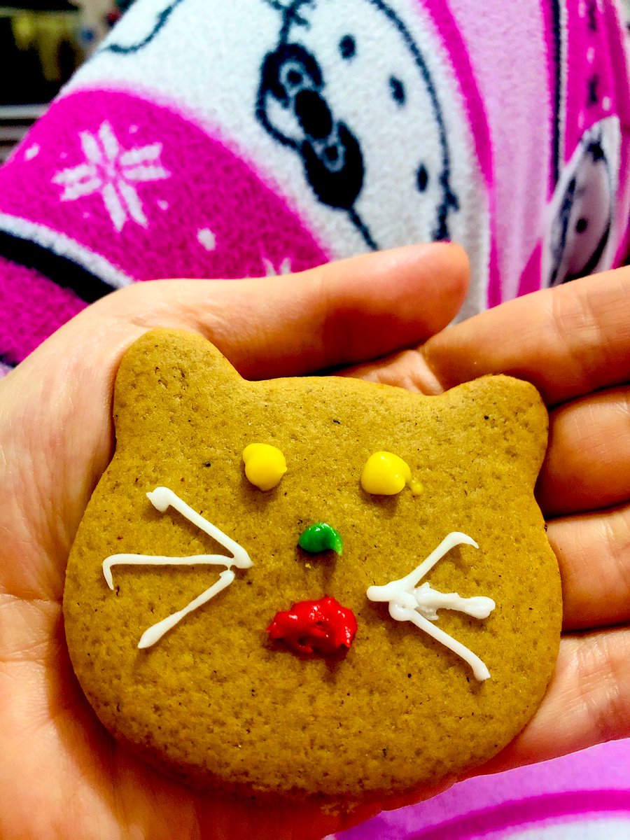 sevaldnrr's tweet photo. Korkunçlu :) 🍪🐈 #gingercookie 💓 #an🌠 https://t.co/ImYiU8mR4u
