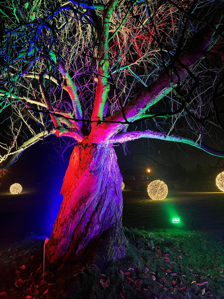 Heiner Staschen tweet media