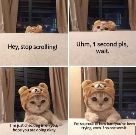 Caedrel (@caedrel) on Twitter photo 