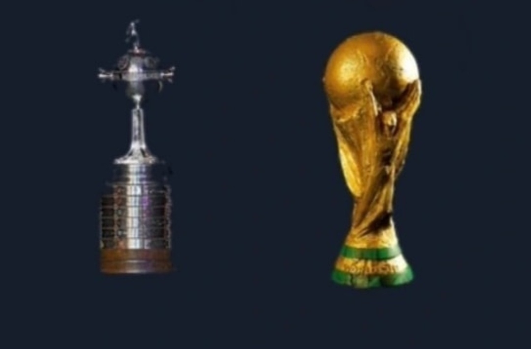 ElGolGarracol's tweet image. ¿Qué prefieres?

RT: que tu equipo gane la Libertadores
Cora: Que la selección gane el mundial.