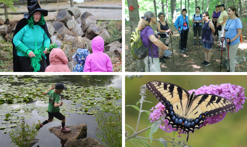 Whether you've hiked all 15 miles of our trails or just one, frequented our on-site and virtual events or just discovered us recently, we'd like to thank everyone who supported Teatown this year.

Please consider making a year-end donation today at:
teatown.org/get-involved/d…