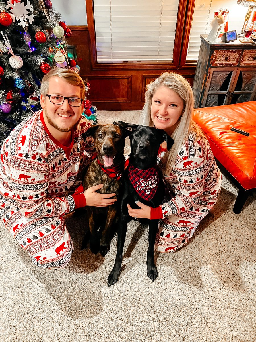 House Targaryen tweet media