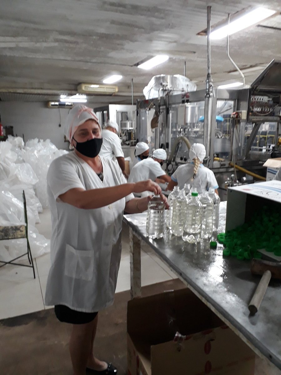 IsabelRCardenas's tweet photo. @RoneraCardenas 🇨🇺 presente en las producciones alternativas, logrando que el #RonLigeroCubano, este presente en el pueblo,@portando a nuestra Economía https://t.co/89Sb22J3Ew