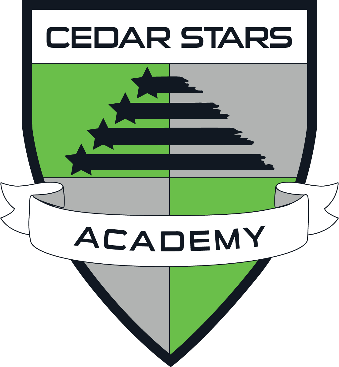The #NPSL is proud to announce that Cedar Stars FC, a division of Cedar Stars Academy (CSA), has joined the league as an expansion team. <a href="/csahudsonvalley/">Cedar Stars Academy Hudson Valley</a> @CedarStarsFC <a href="/capellisport/">Capelli Sport</a>

📰bit.ly/CSAHudsonValley