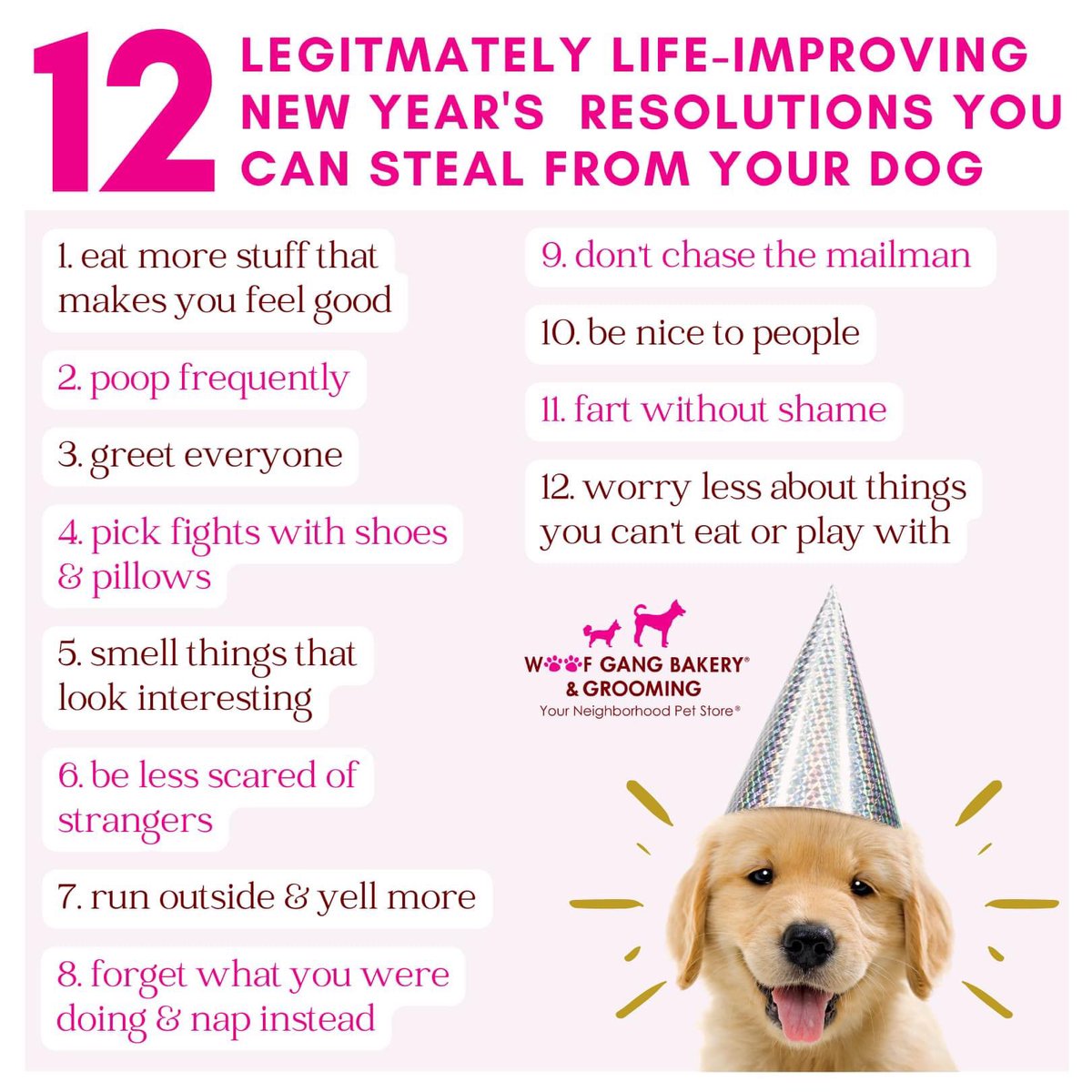 🎉🐶🎇🍾🐾