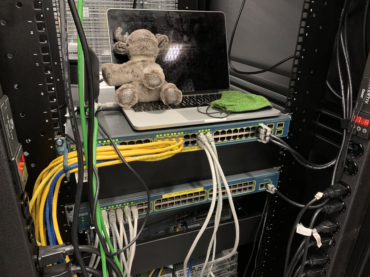 NetNinjaMoose's tweet photo. It’s been a while, but with thanks to @MyMooseTravels for helping out in the US! Las Vegas collocation facility was great! And another @mikrotik_com  installed as a router! #Cabling #MakePacketsGo #moosehands https://t.co/SNOE2ZSz01