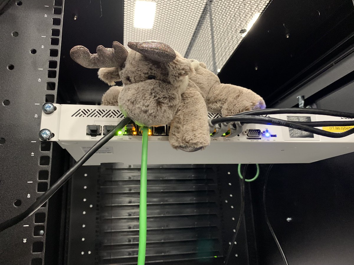 NetNinjaMoose's tweet photo. It’s been a while, but with thanks to @MyMooseTravels for helping out in the US! Las Vegas collocation facility was great! And another @mikrotik_com  installed as a router! #Cabling #MakePacketsGo #moosehands https://t.co/SNOE2ZSz01
